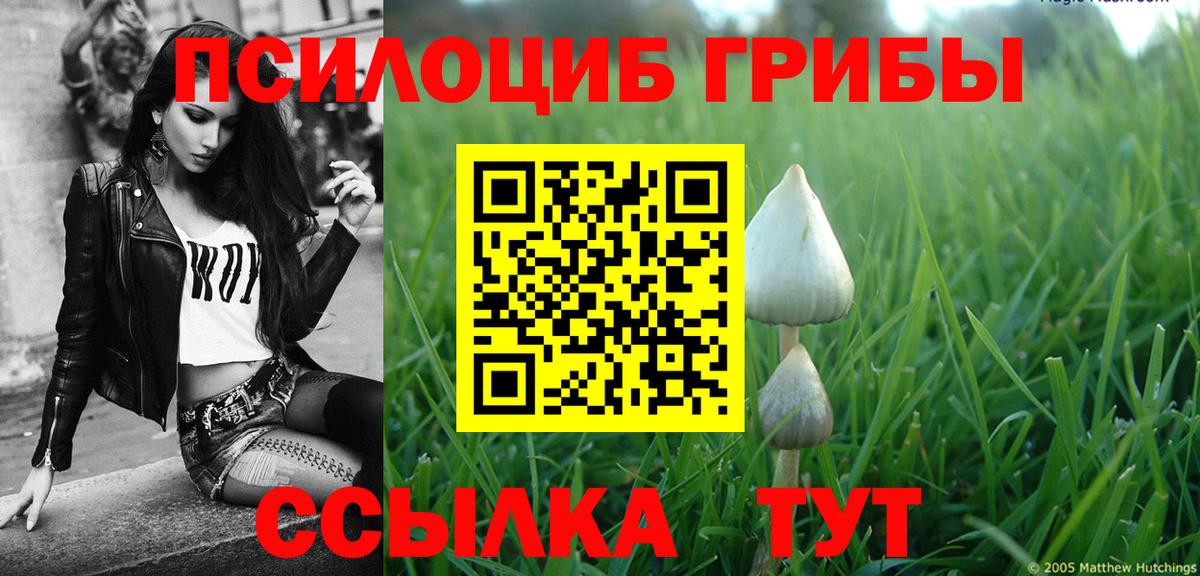 Псилоцибиновые грибы мицелий Лесозаводск